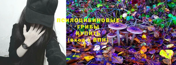 молекула духа Алексеевка